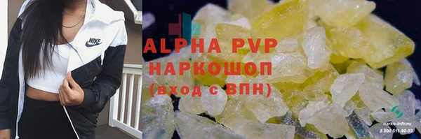 твердый Сясьстрой