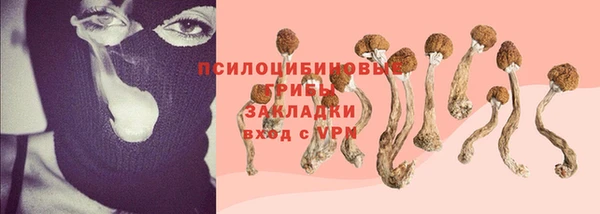 МДПВ Богданович