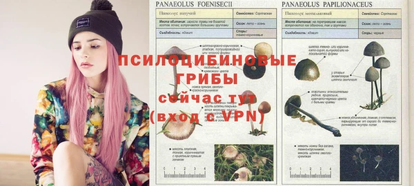 гашиш Белокуриха