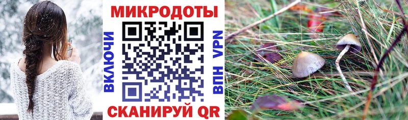 Галлюциногенные грибы MAGIC MUSHROOMS  Междуреченск 